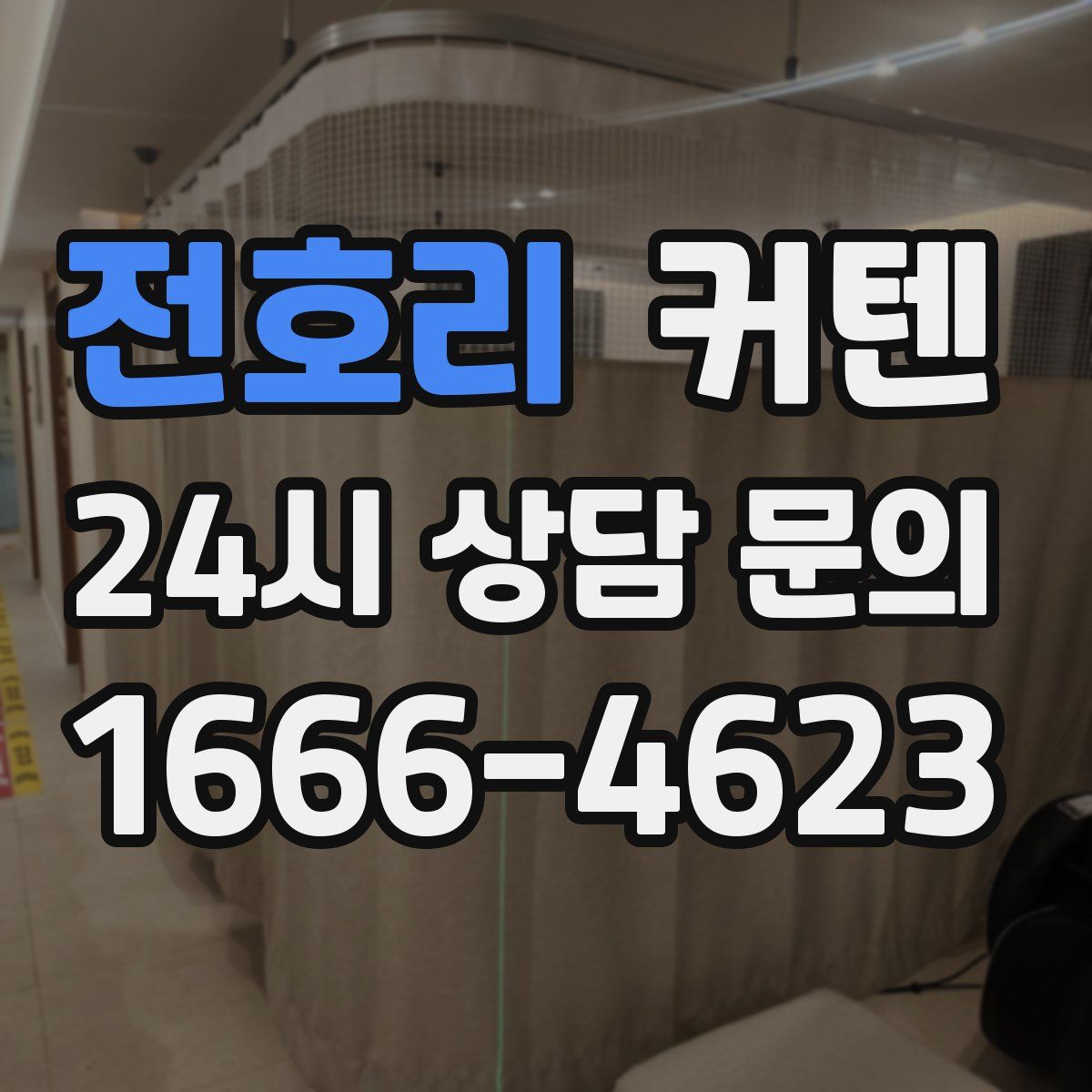 전호리 커텐