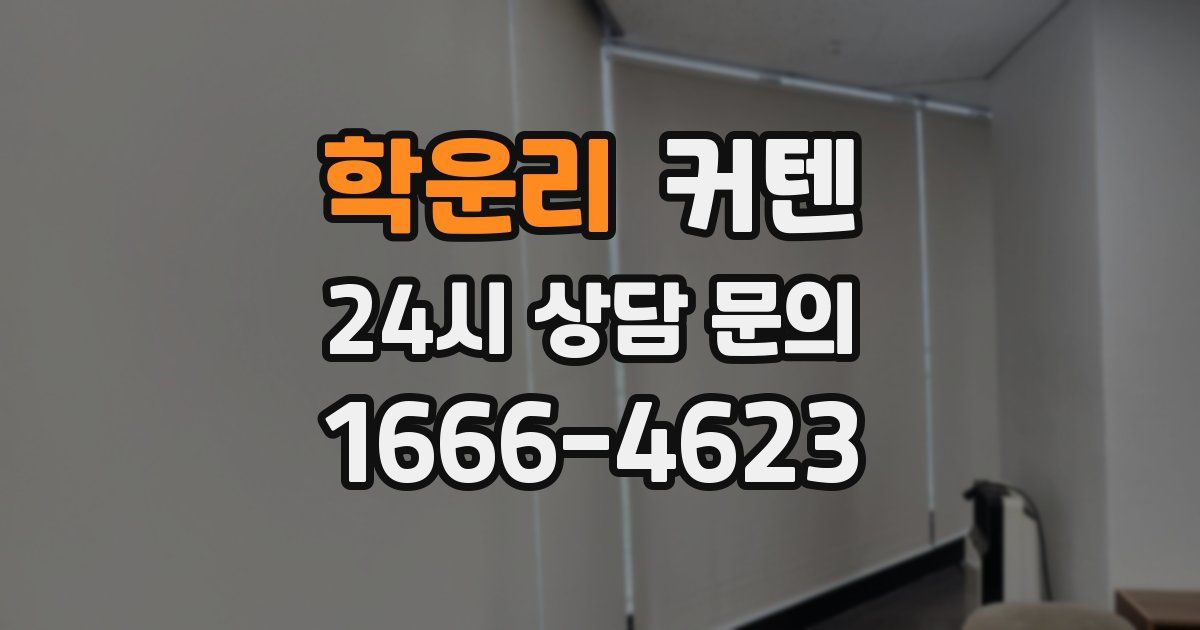 학운리 커텐