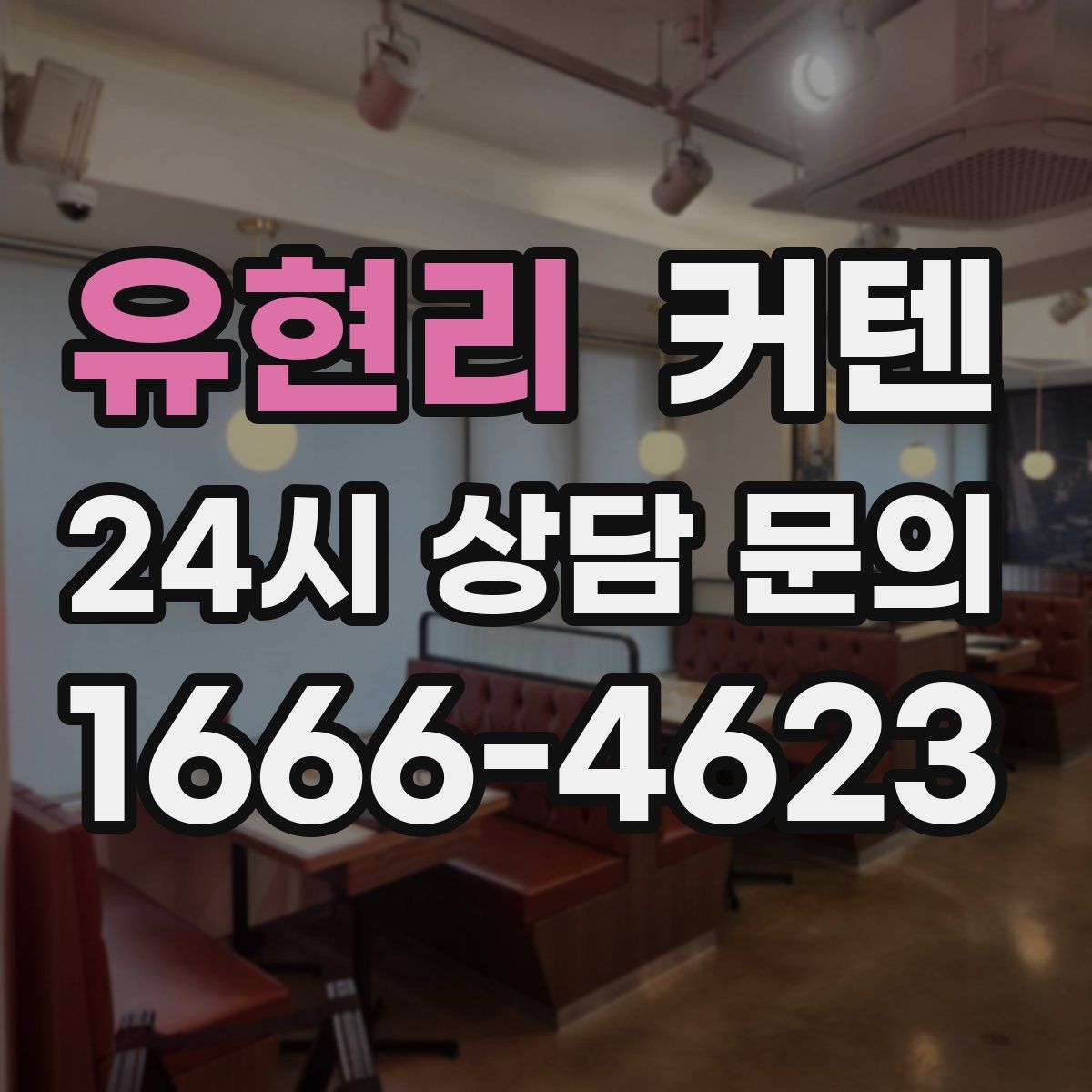 유현리 커텐