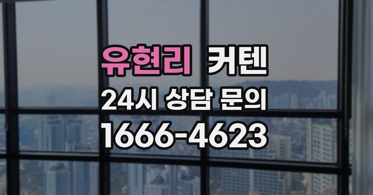 유현리 커텐