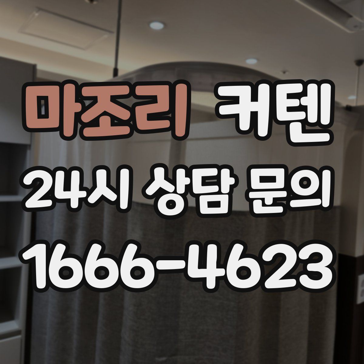 마조리 커텐