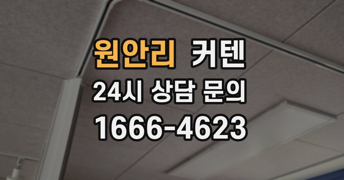 원안리 커텐