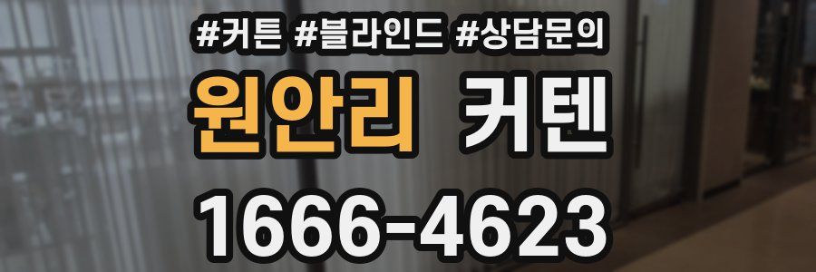 원안리 커텐