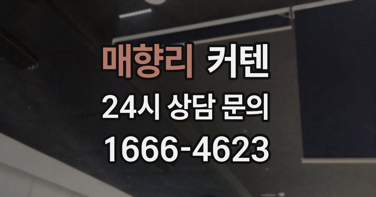 매향리 커텐