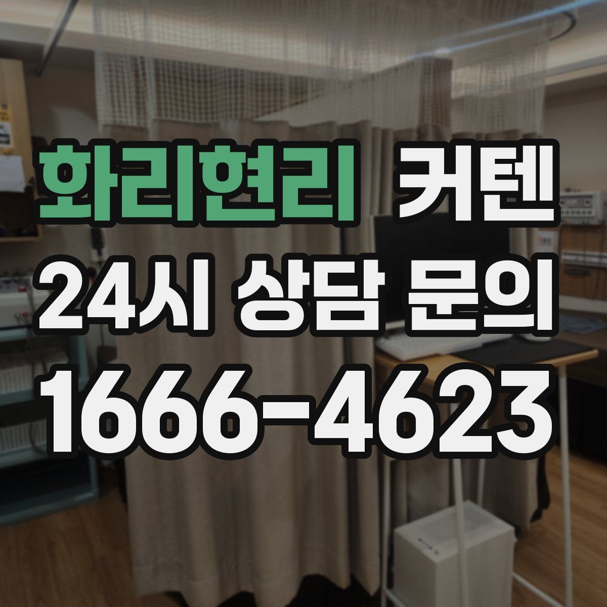 화리현리 커텐