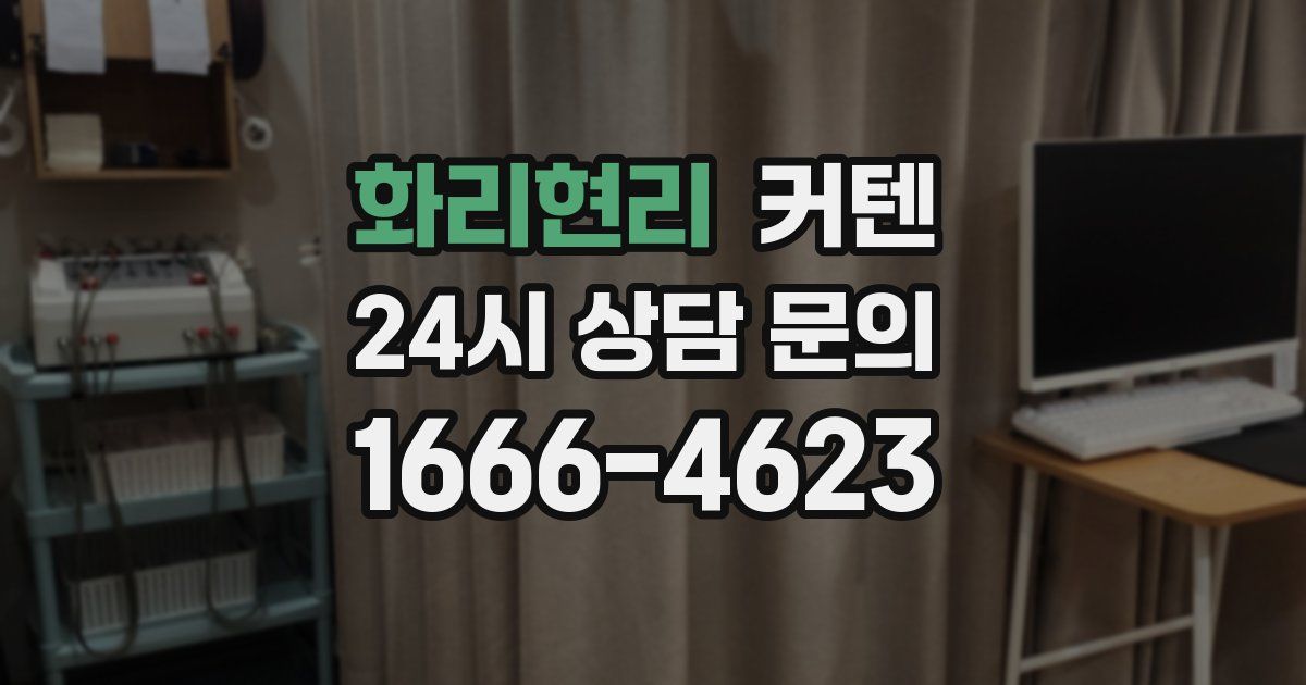 화리현리 커텐