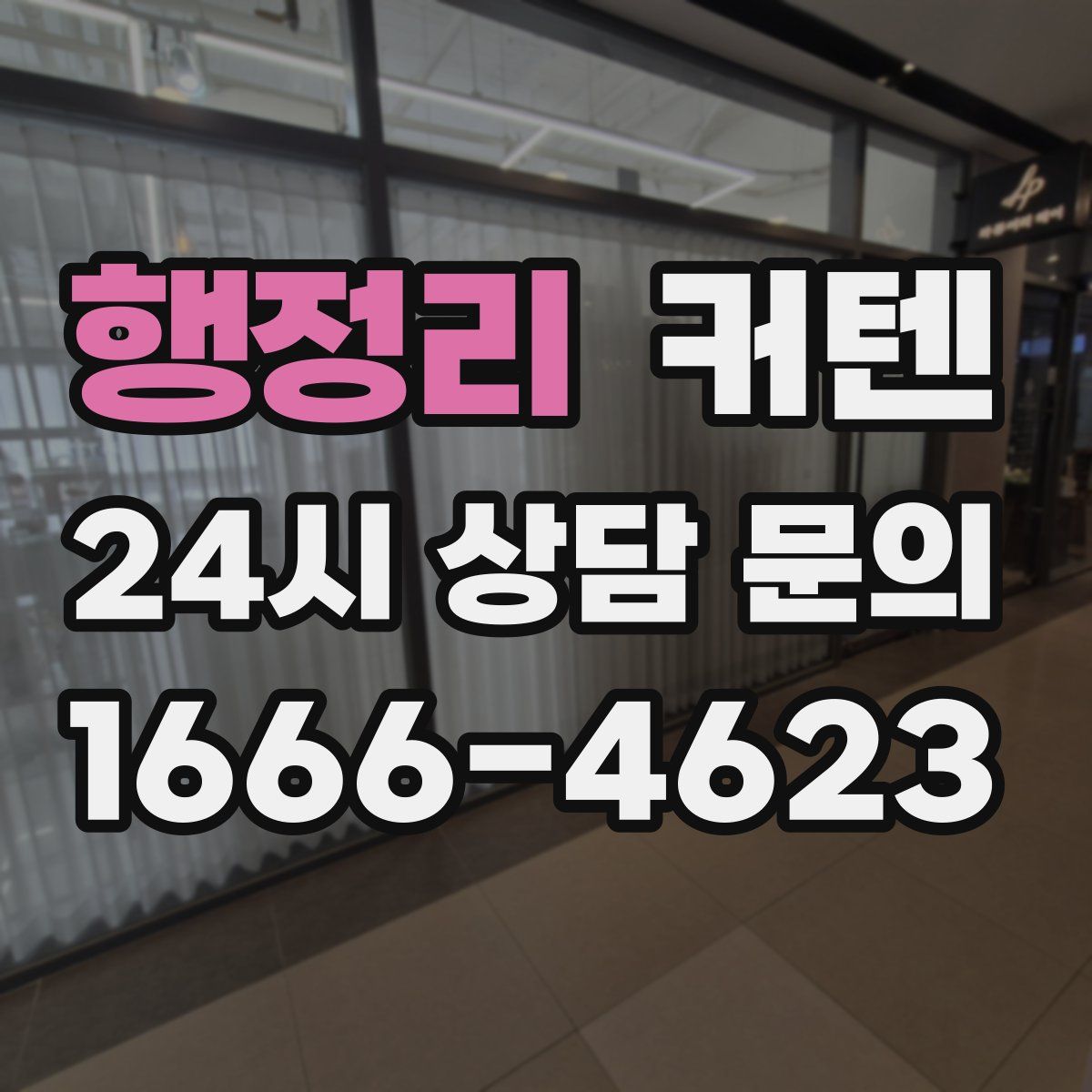 행정리 커텐