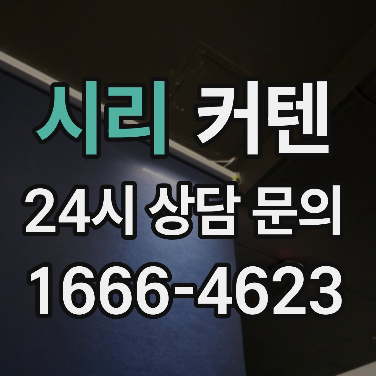 시리 커텐