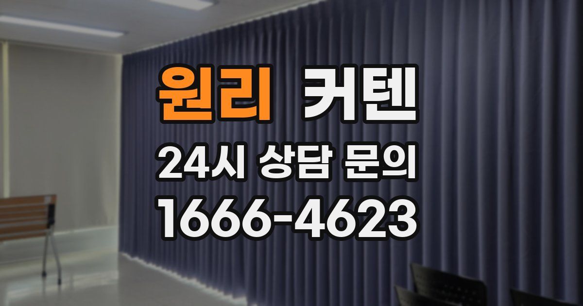 원리 커텐