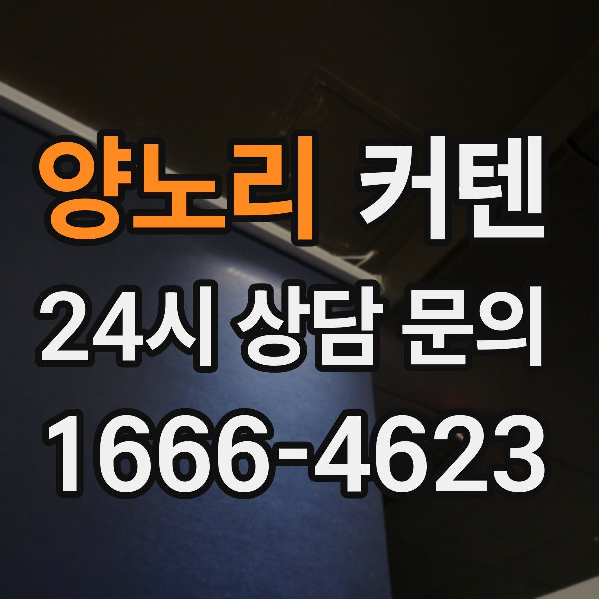 양노리 커텐