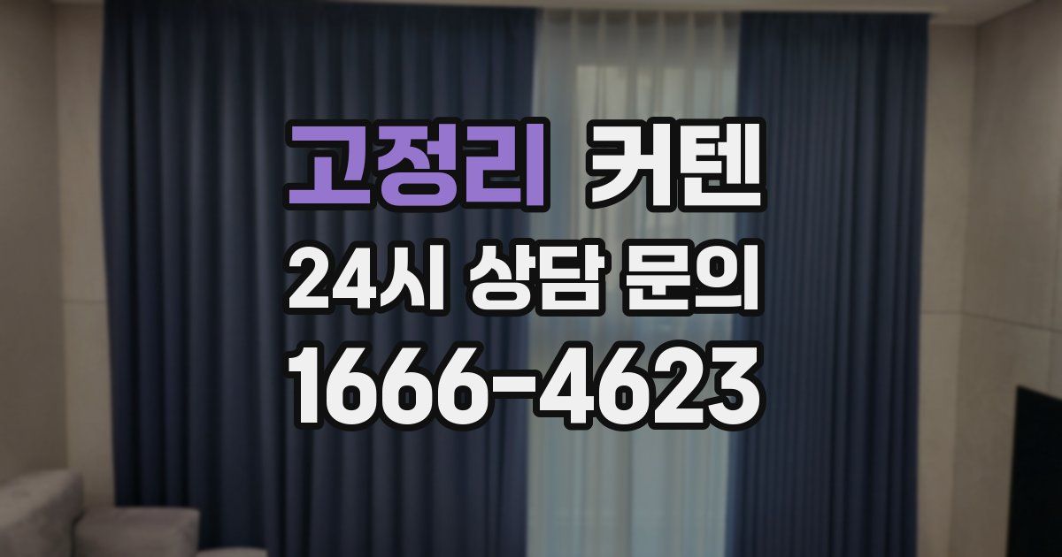 고정리 커텐
