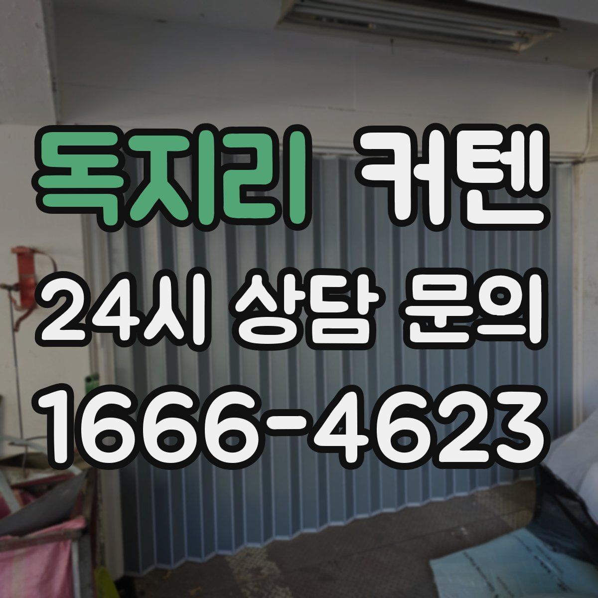 독지리 커텐
