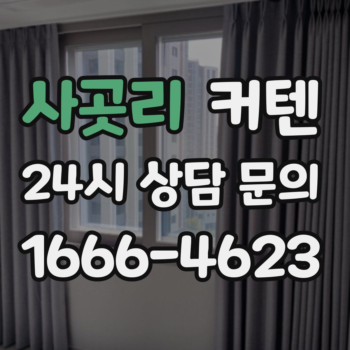 사곳리 커텐