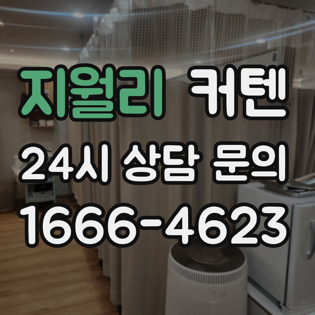 지월리 커텐