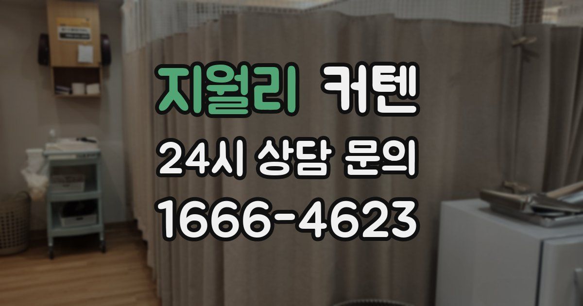 지월리 커텐
