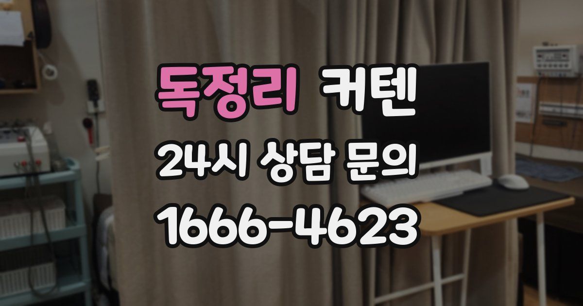 독정리 커텐