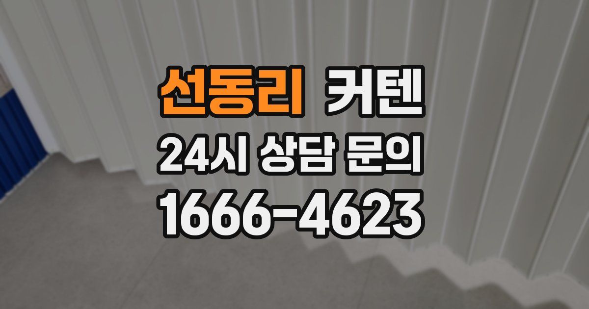 선동리 커텐