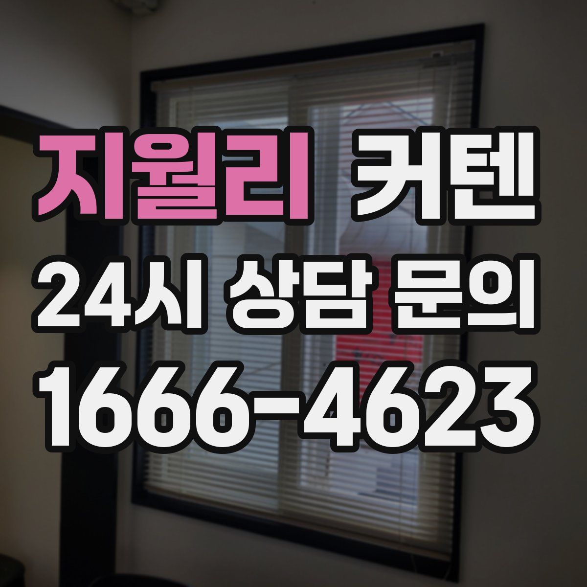 지월리 커텐
