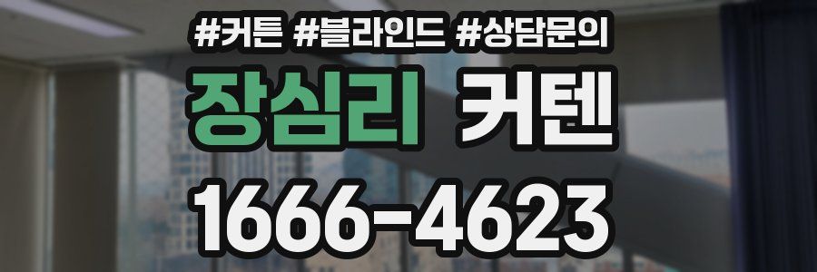 장심리 커텐