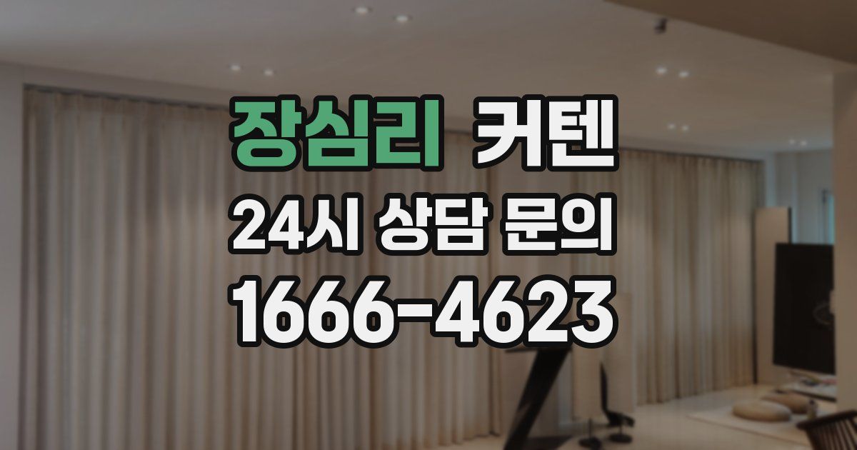 장심리 커텐