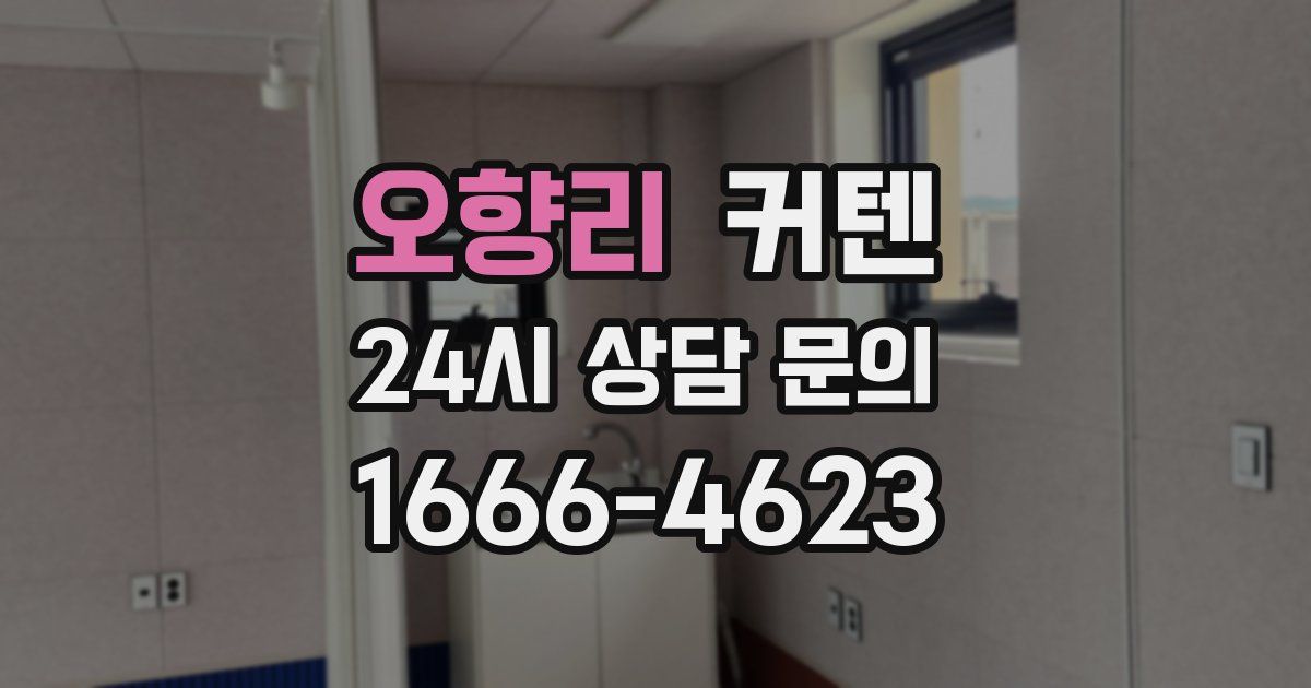 오향리 커텐