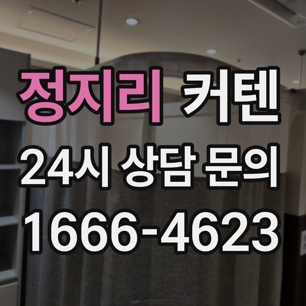 정지리 커텐