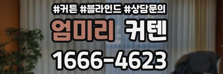 엄미리 커텐