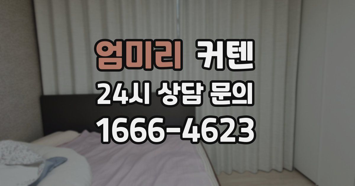 엄미리 커텐