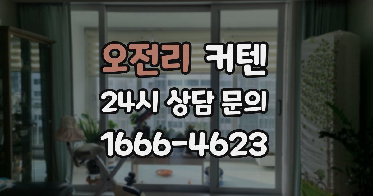 오전리 커텐