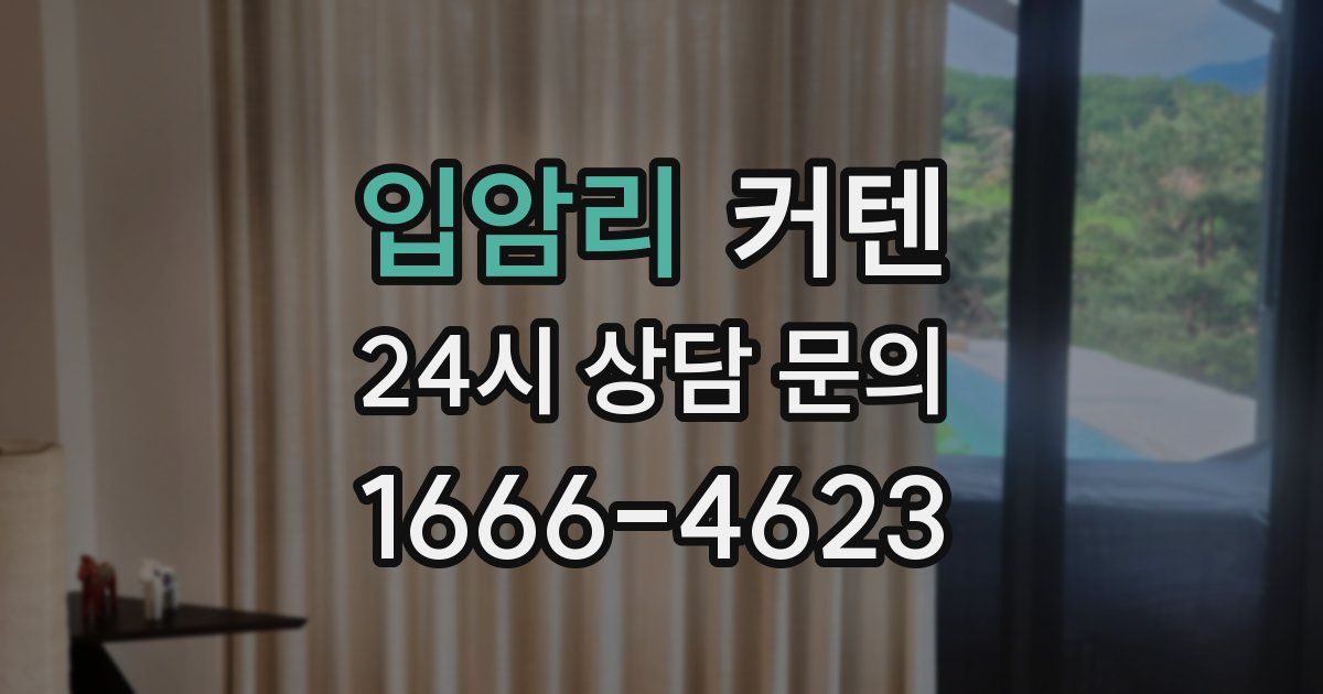 입암리 커텐