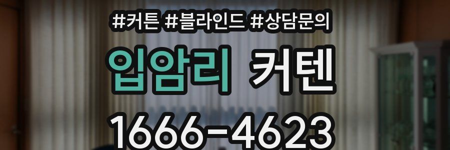 입암리 커텐