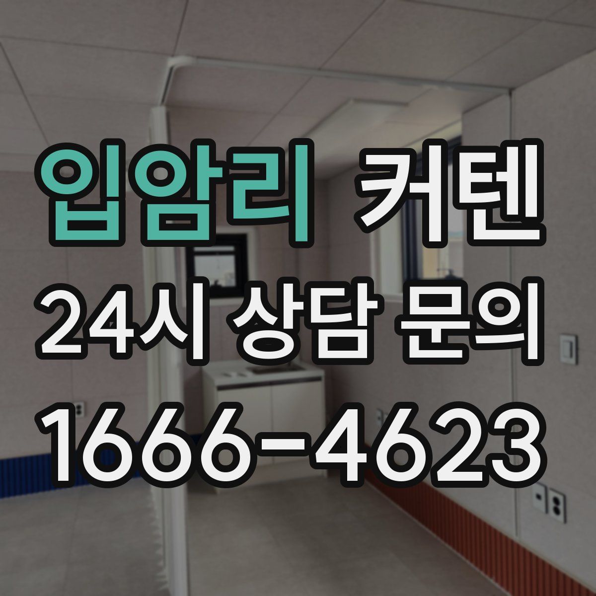 입암리 커텐