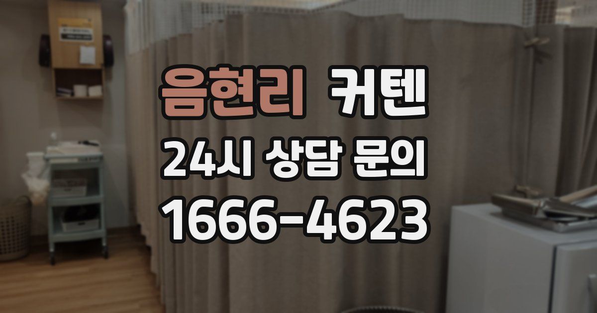 음현리 커텐