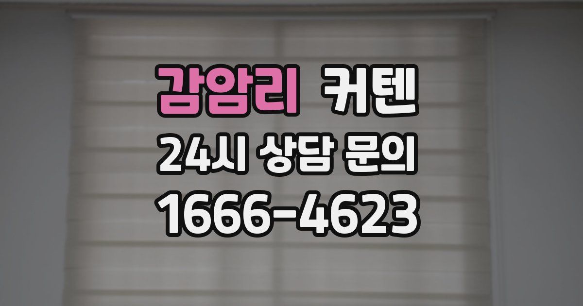 감암리 커텐