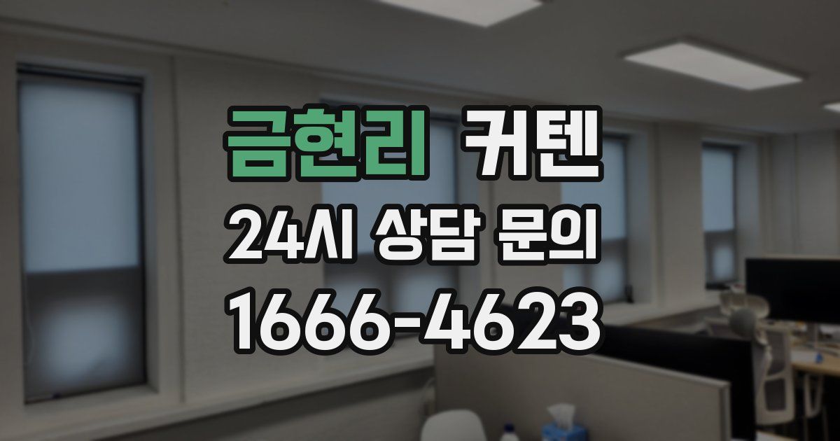 금현리 커텐