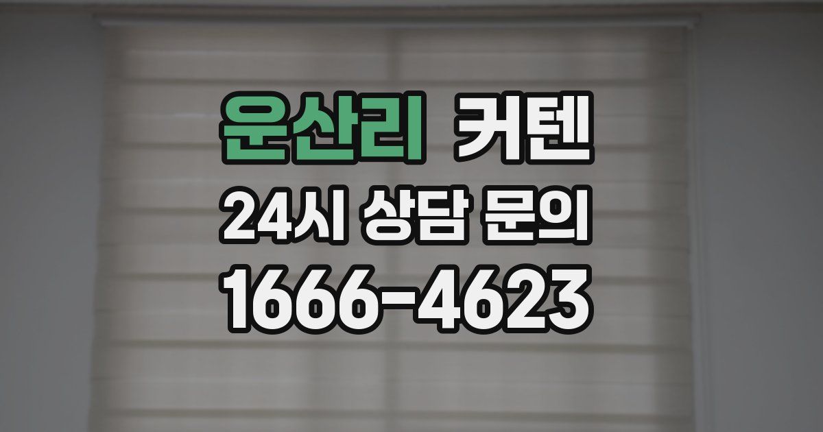 운산리 커텐