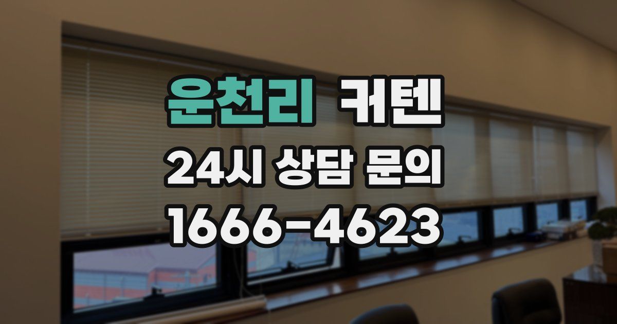 운천리 커텐