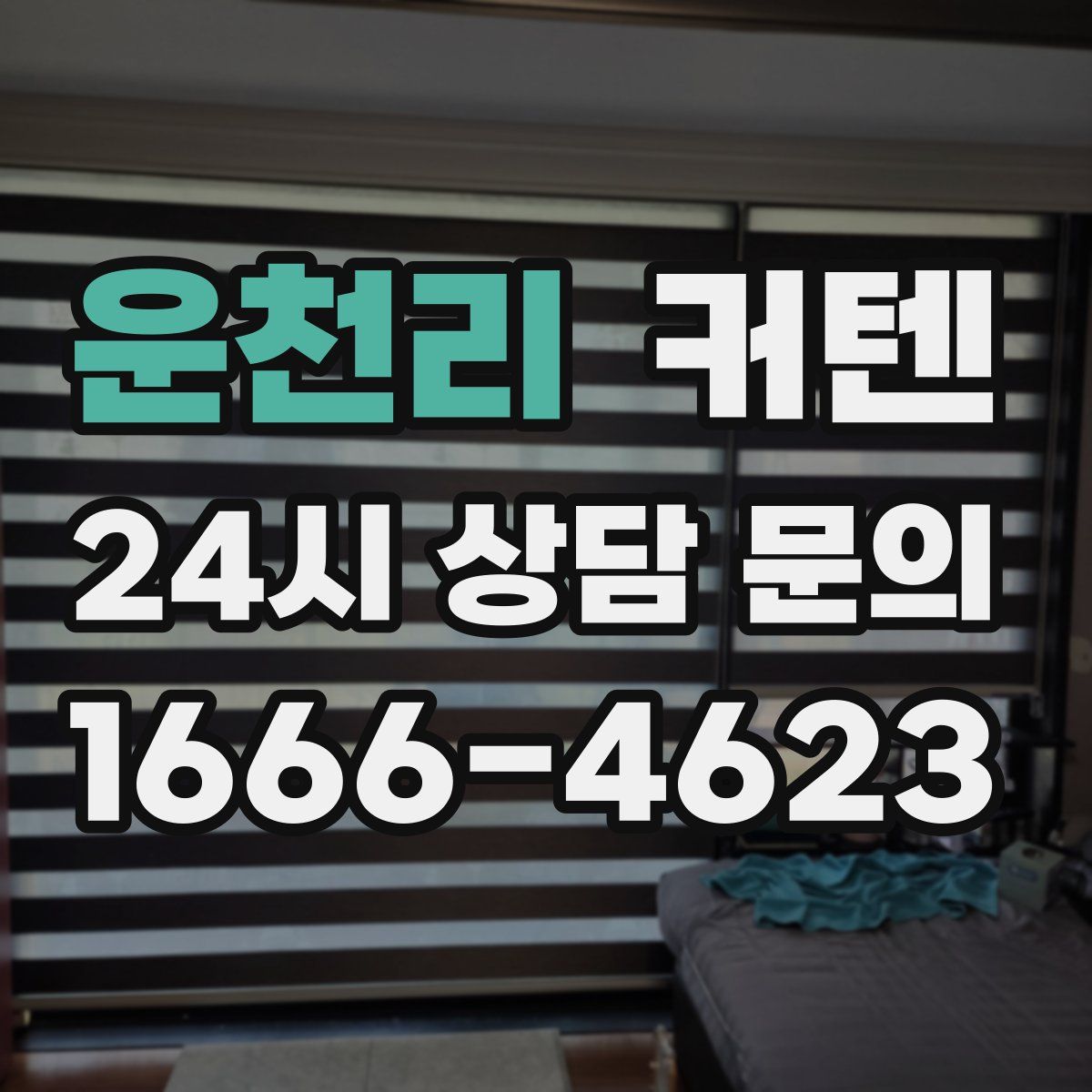 운천리 커텐