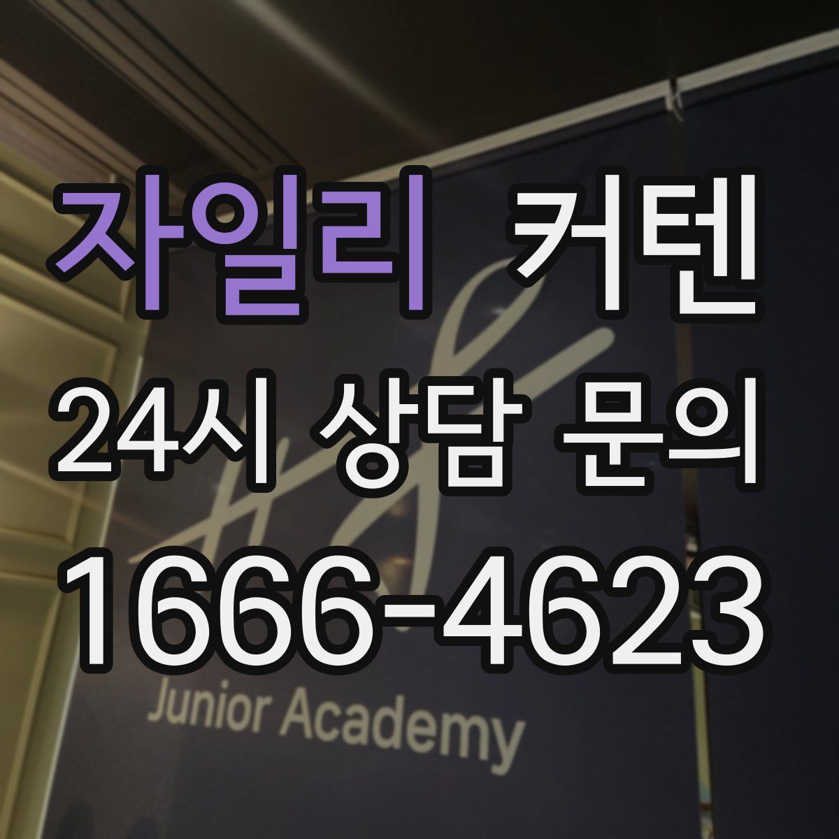 자일리 커텐