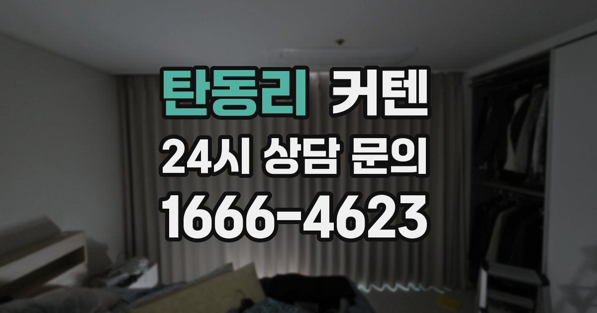 탄동리 커텐