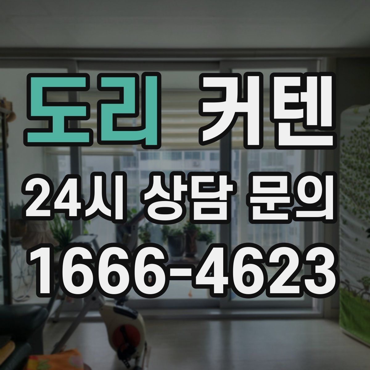 도리 커텐