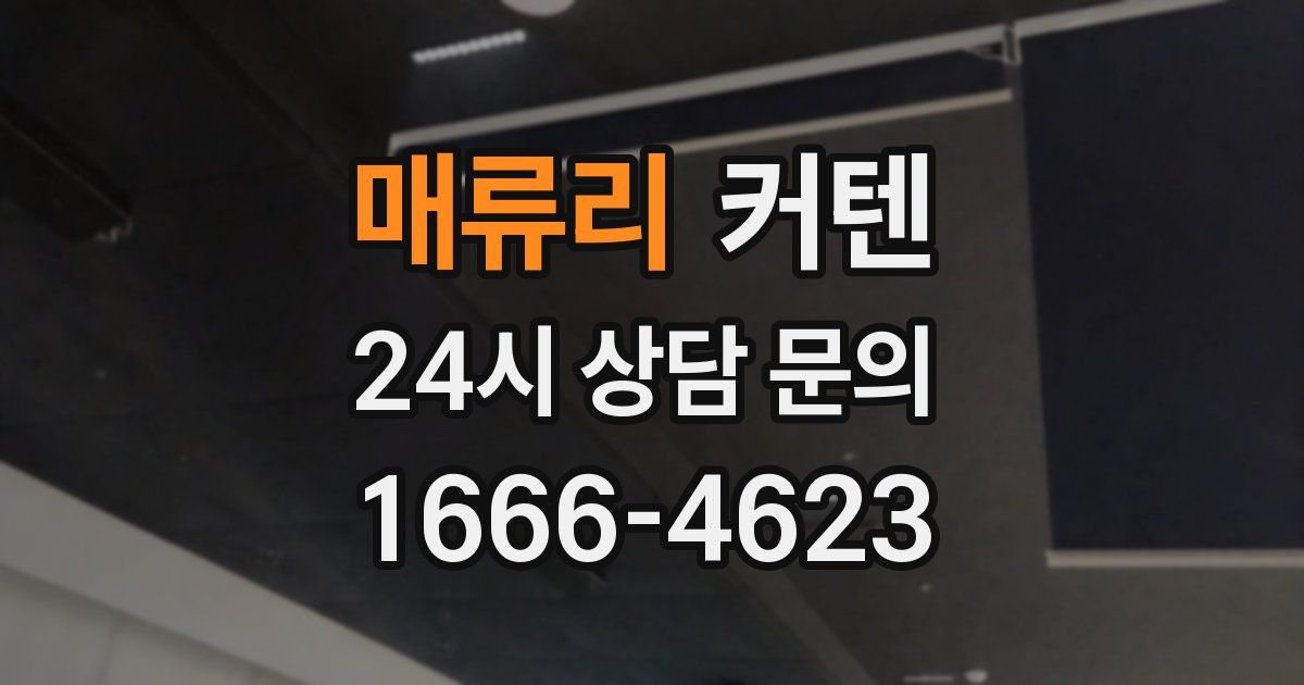 매류리 커텐