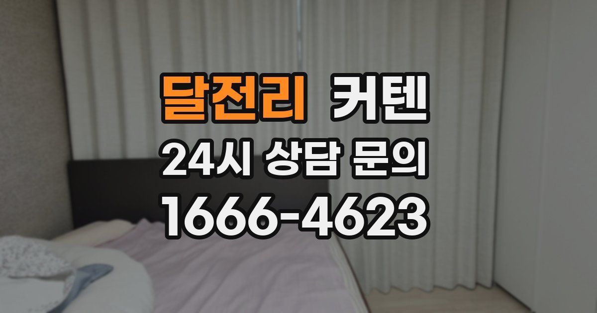 달전리 커텐
