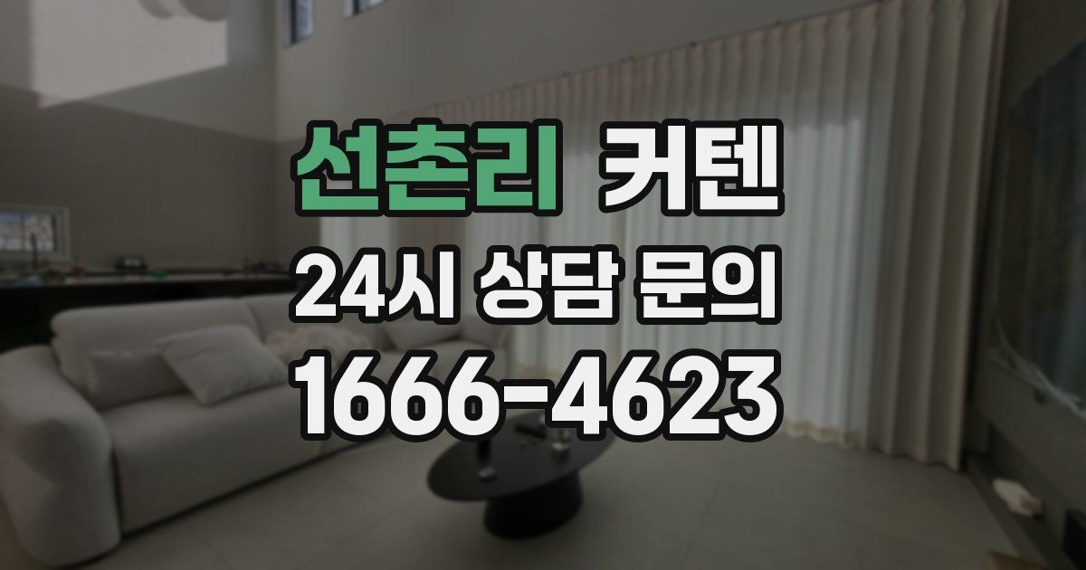 선촌리 커텐