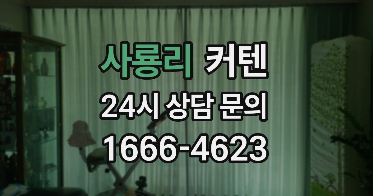 사룡리 커텐