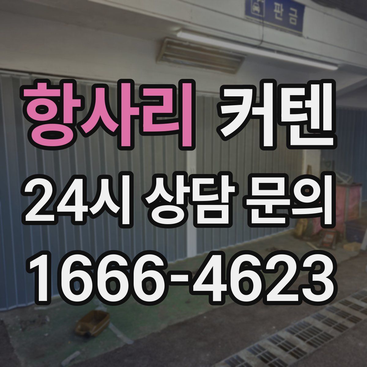 항사리 커텐