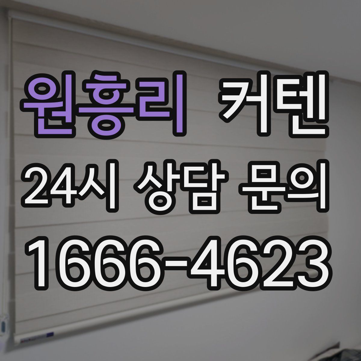 원흥리 커텐