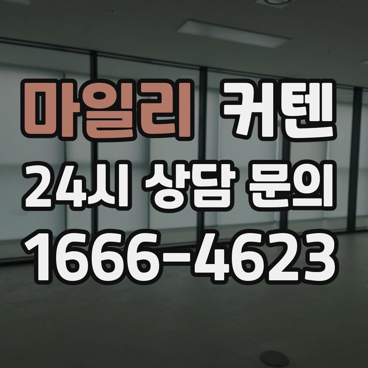 마일리 커텐
