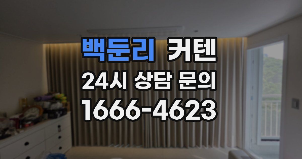 백둔리 커텐