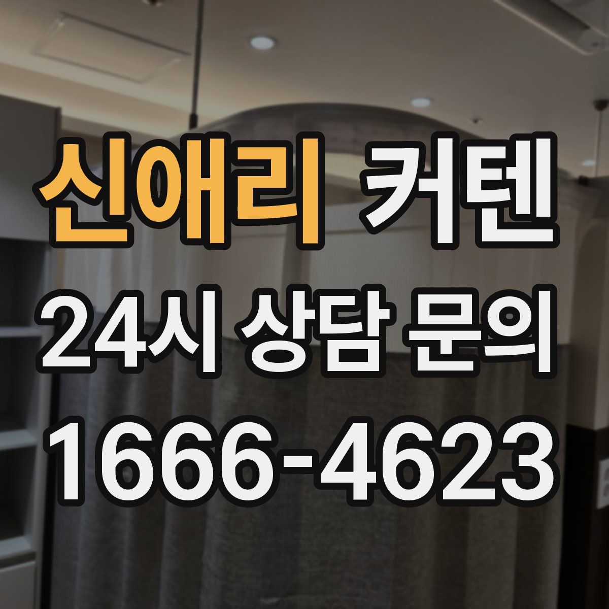 신애리 커텐